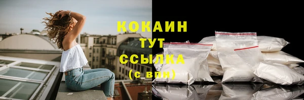 дживик Нея